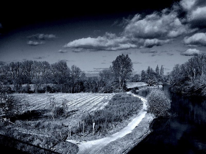 Eugene Gorny. Landscape in Blue