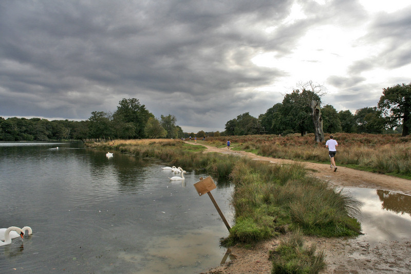 Eugene Gorny. Richmond Park